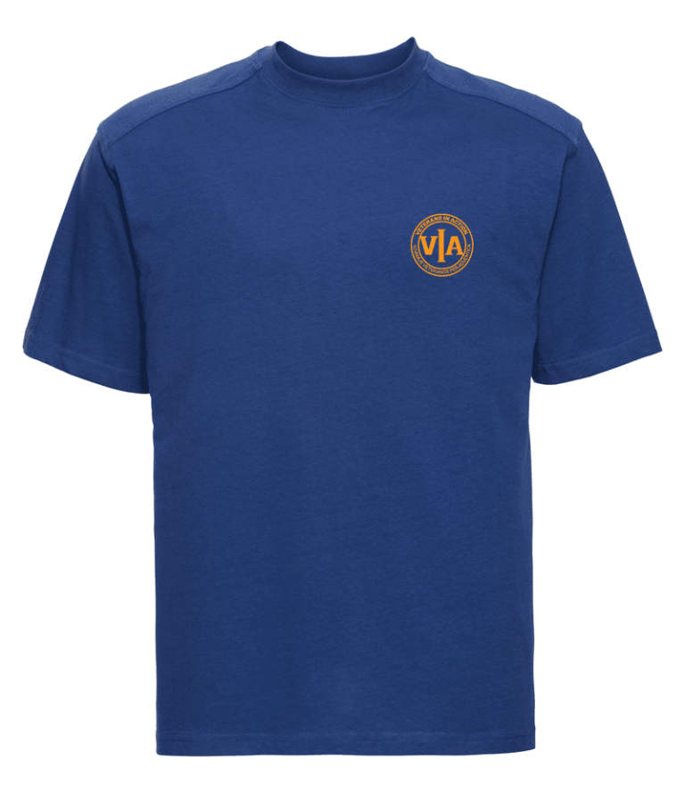 veterans in action mens t shirt with gold logo